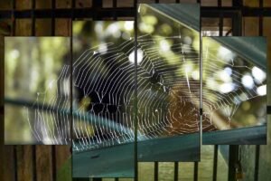 Parallel universes. Web of Resistance. 2021