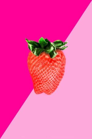 Moods. Strawberry in love. 2024