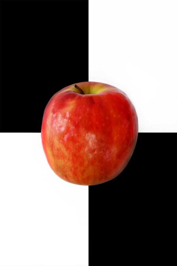 Moods. Apple of discord. 2024