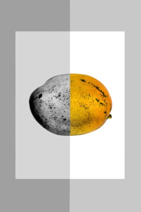 Moods. Mango in trouble. 2024