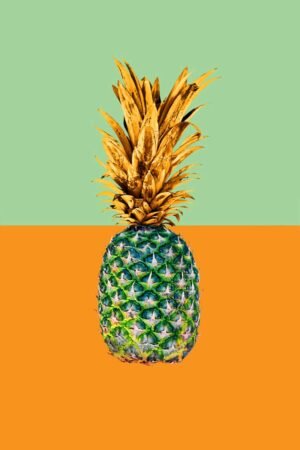 Moods. Confused Pineapple. 2024