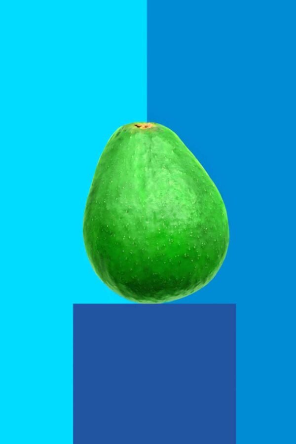 Moods. Relaxed avocado. 2024