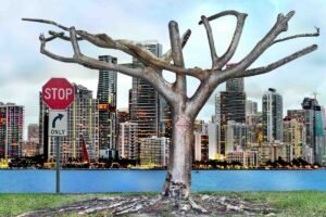 Stop. Miami Today