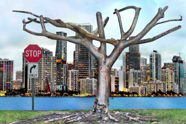 Stop. Miami Today