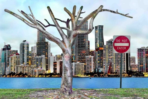 Do not Enter. Miami Today.