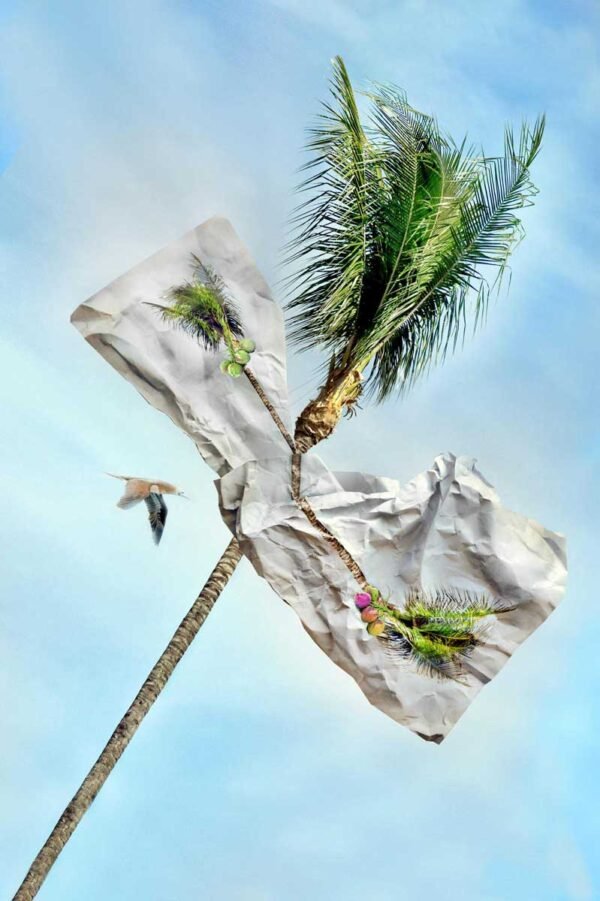 Paper Nature. 2023