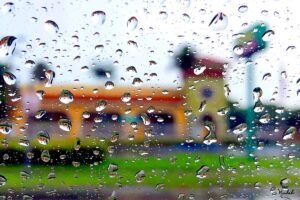 Drops of Miami, Pollo Tropical Restaurant. 2019