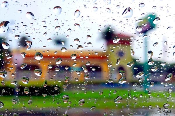 Drops of Miami, Pollo Tropical Restaurant. 2019