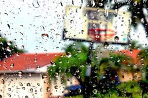 Drops of Miami, Garden of a house. 2019