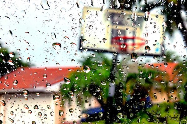 Drops of Miami, Garden of a house. 2019