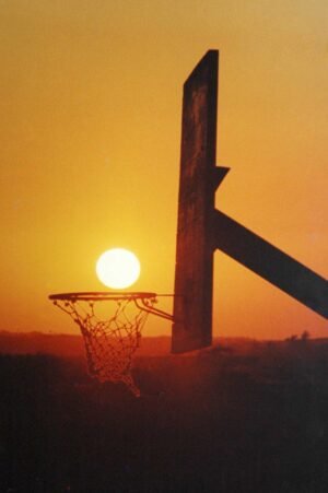 The Basket I. 1994