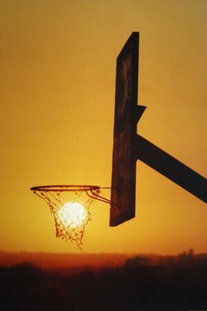 The Basket II. 1994