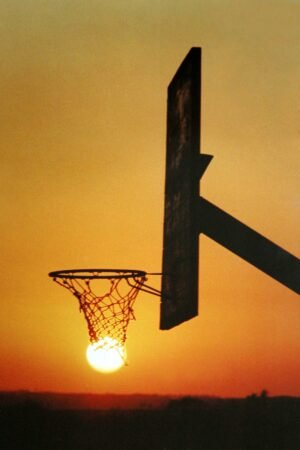 The Basket III. 1994