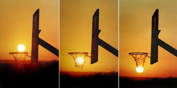 Series: The Basket. 1994