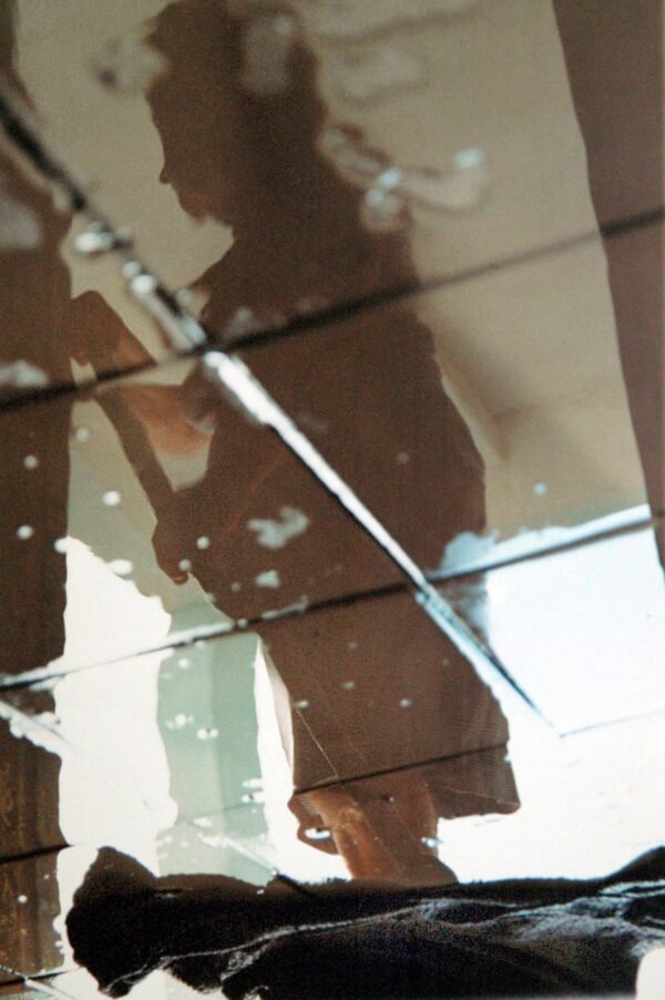An Ophelia's day IV. 1999