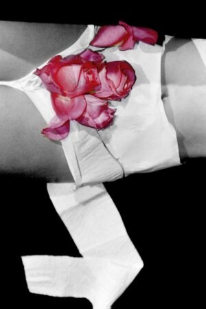 Dichotomy I. 2005