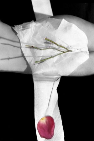 Dichotomy II. 2005