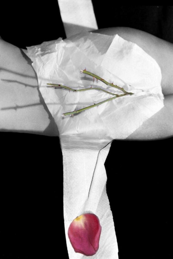 Dichotomy II. 2005