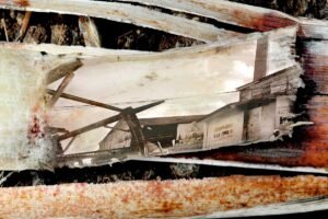 From the series Detritus. 2007.