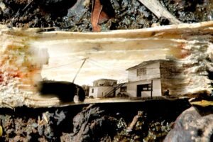 From the series Detritus. 2007.