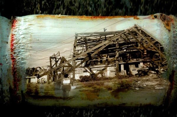 From the series Detritus. 2007.
