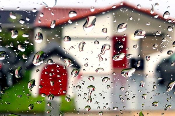 Drops of Miami, my House. 2019