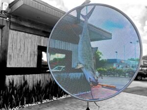 Visual Stress, Street 8 Miami. 2019 