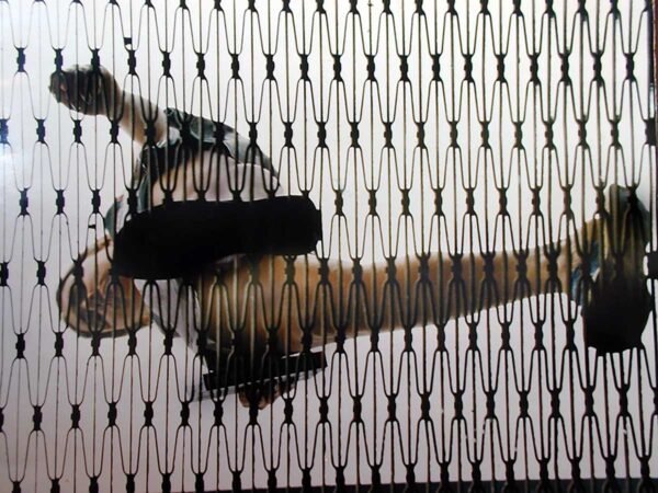 Photographs from the mosaic The Voyeur. 2001